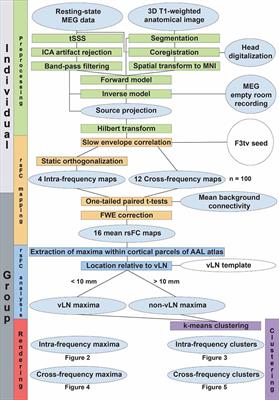 Frequency-Dependent Intrinsic Electrophysiological Functional Architecture of the Human Verbal Language Network